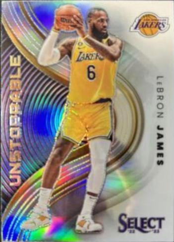 LeBron James [Silver] #7