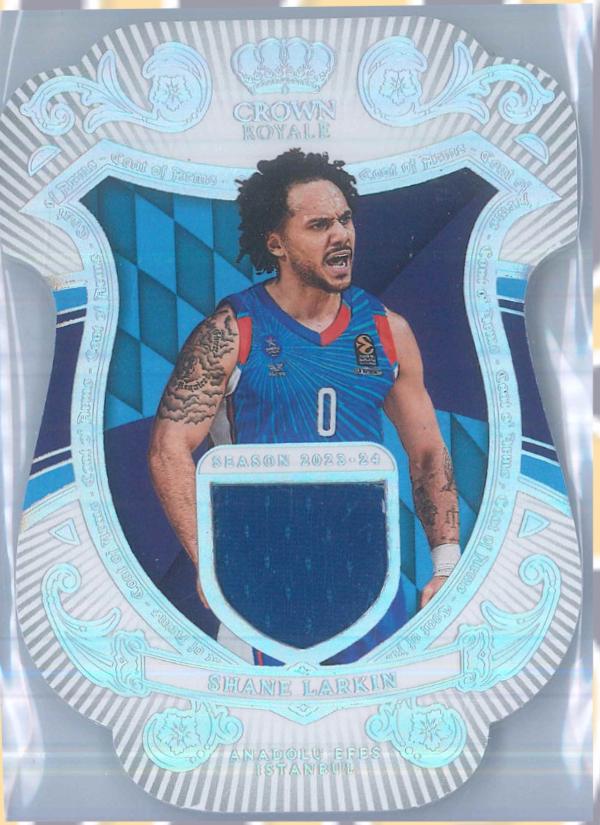 Shane Larkin #13
