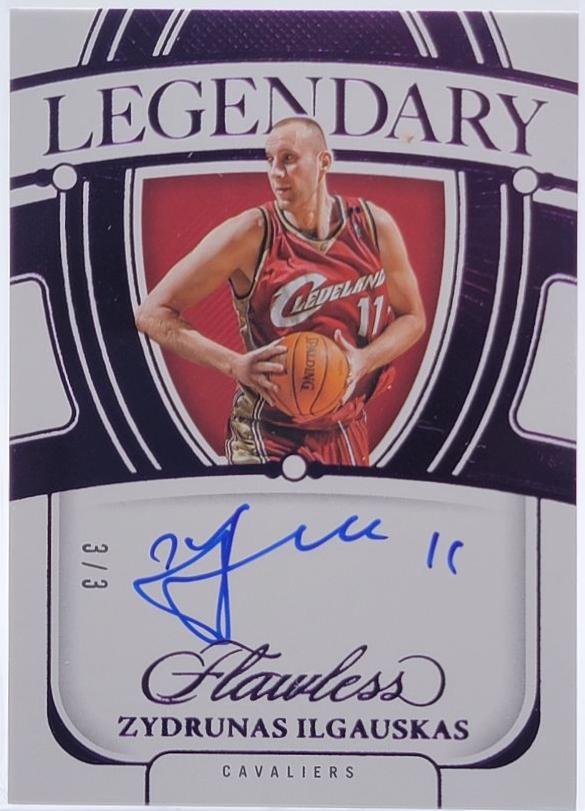 Zydrunas Ilgauskas [Amethyst] #14