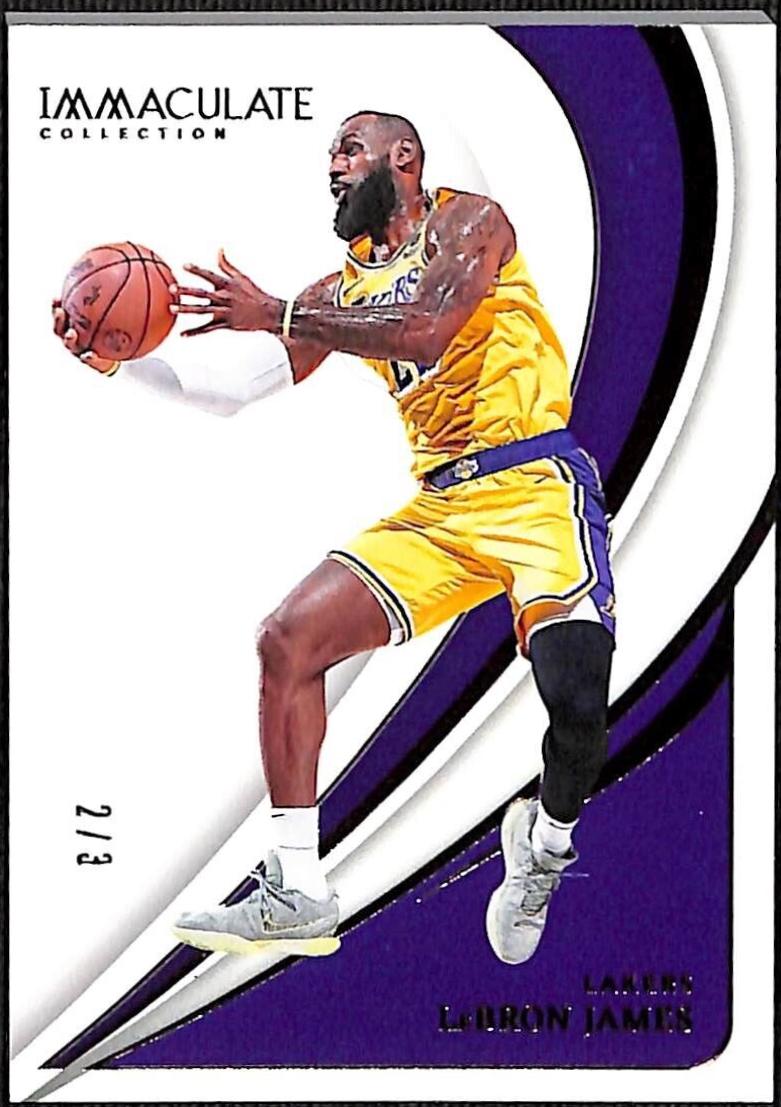 LeBron James [Bronze] #45