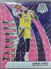 LeBron James [Pink Fluorescent] #23