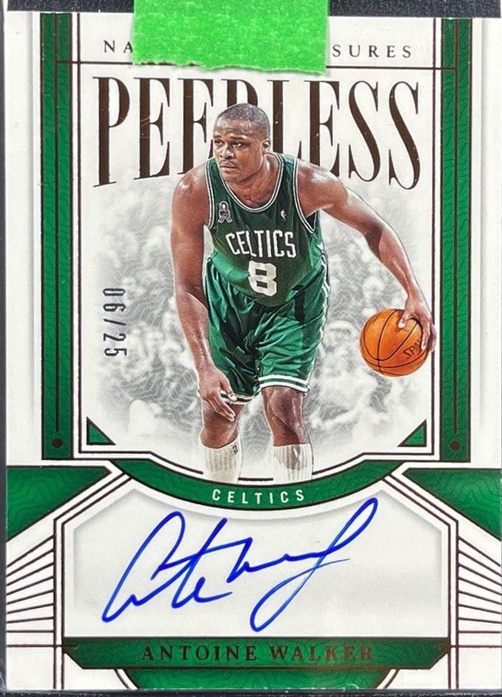 Antoine Walker [Bronze] #44