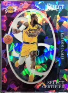 LeBron James [Purple Cracked Ice Prizm] #7