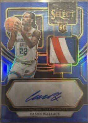 Ben Wallace [Blue Prizm] #11
