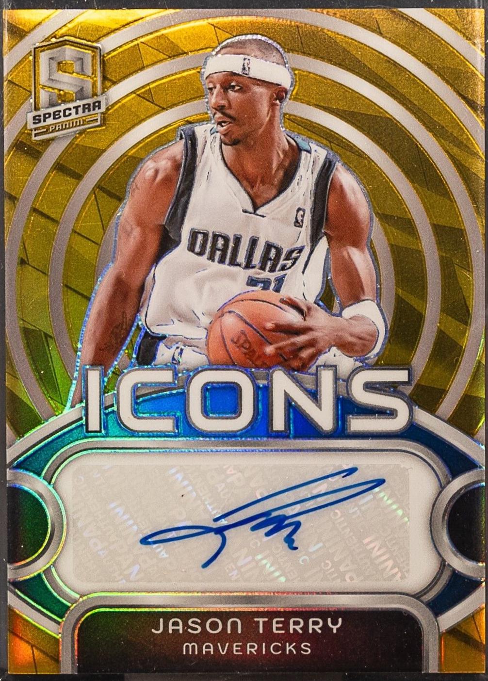 Jason Terry [Gold] #IA-JET