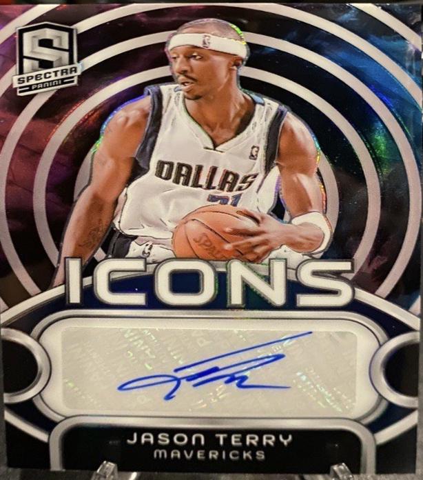 Jason Terry [Nebula] #IA-JET