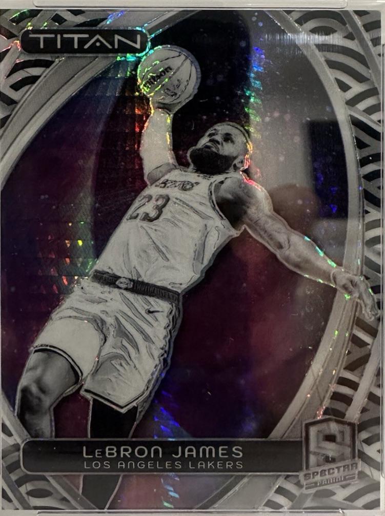 LeBron James [Black White International] #69