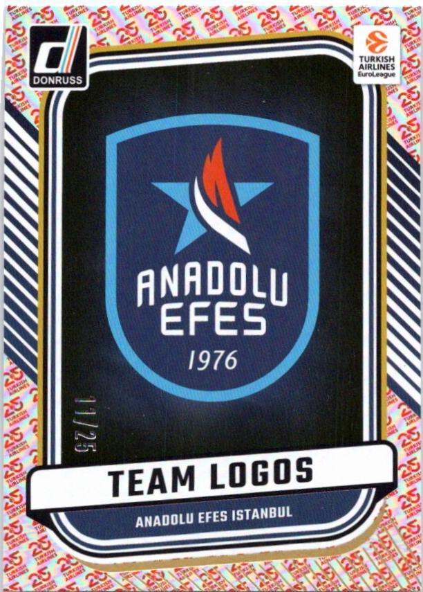 Anadolu Efes Istanbul [25th Anniversary] #6