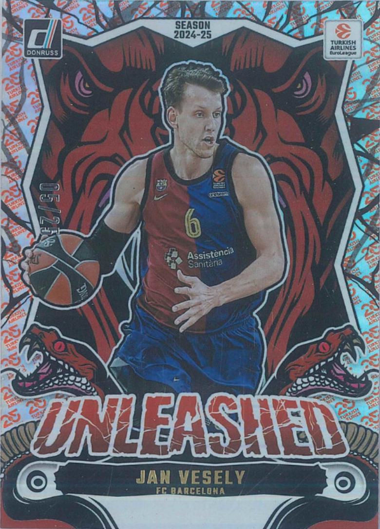 Jan Vesely [25th Anniversary] #11