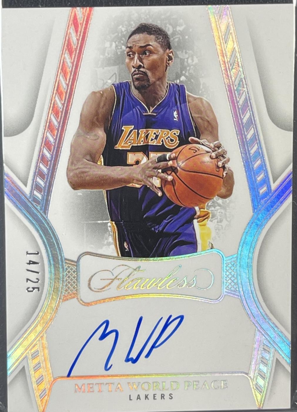 Metta World Peace #31