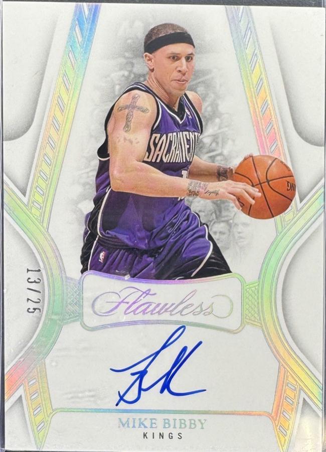 Mike Bibby #14