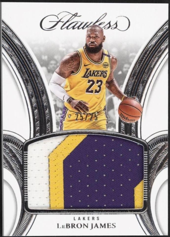 LeBron James #15