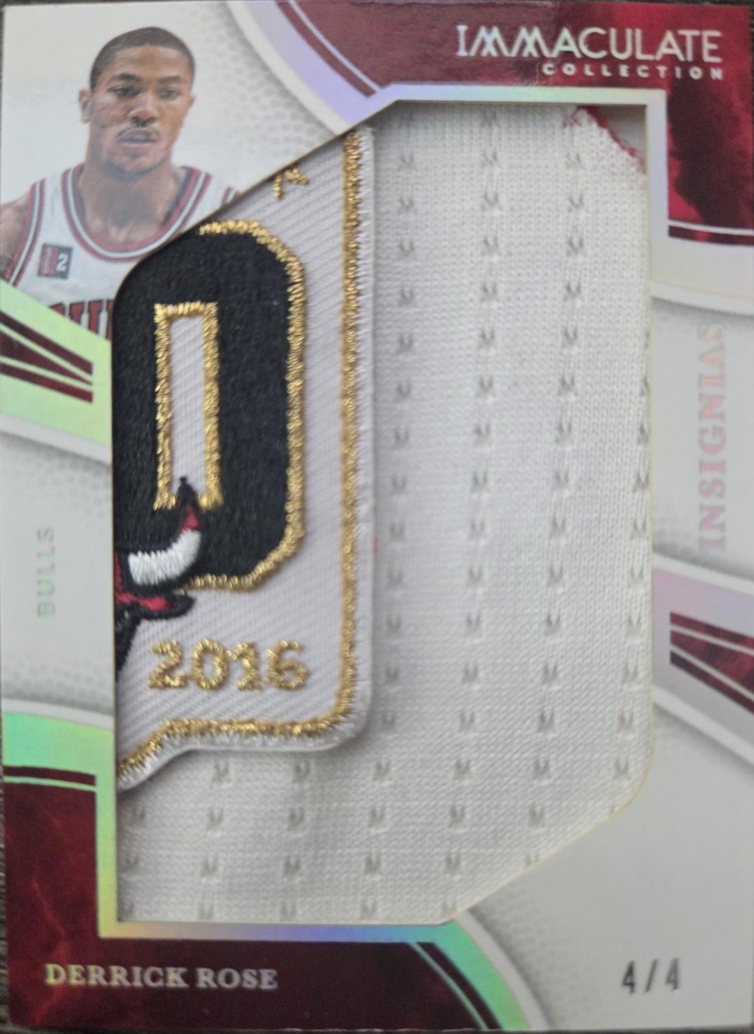 Derrick Rose #20