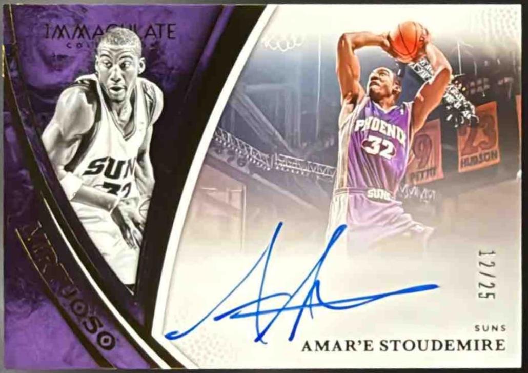 Amar'e Stoudemire #19