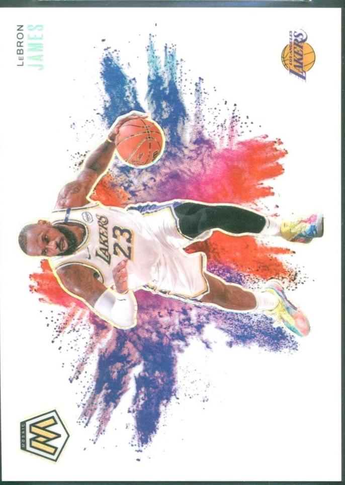 LeBron James #22
