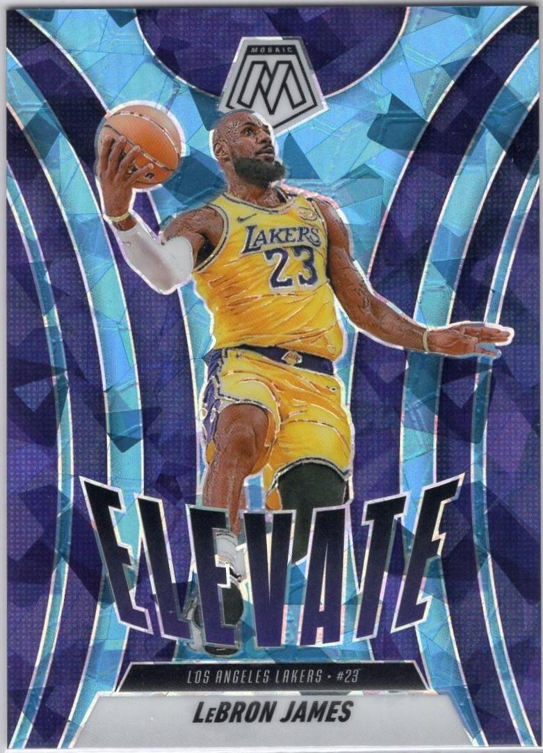 LeBron James [Ice] #13