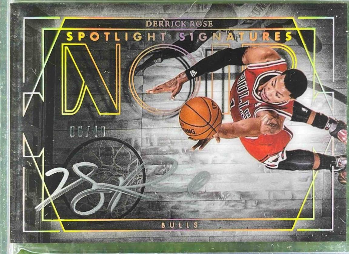 Derrick Rose #14