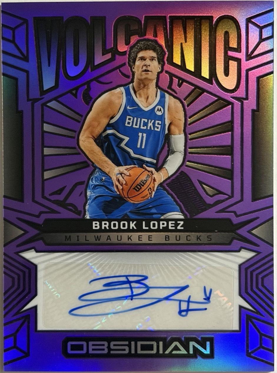 Brook Lopez [Electric Etch Purple Flood] #VS-BLM