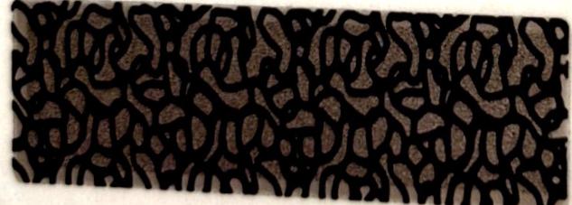 Chet Holmgren [Electric Etch Deep Sea Mojo Flood] #VS-CHO