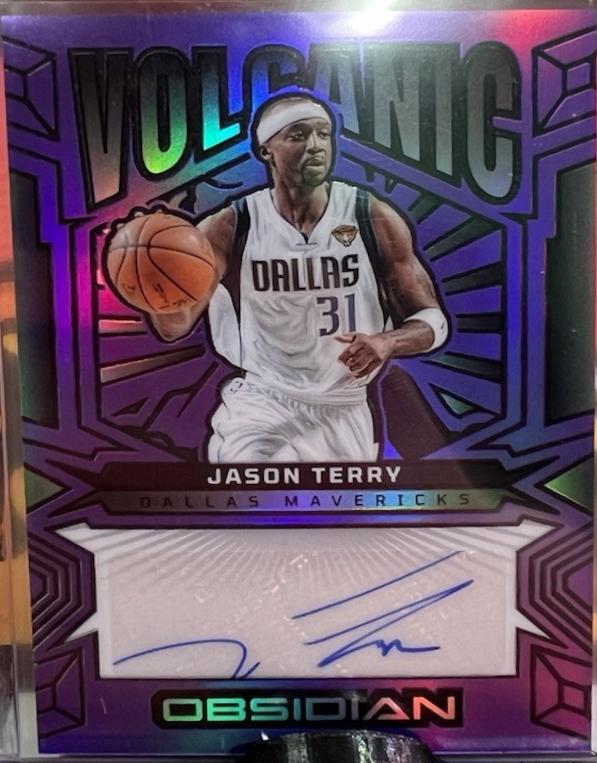 Jason Terry [Electric Etch Purple Flood] #VS-JTD