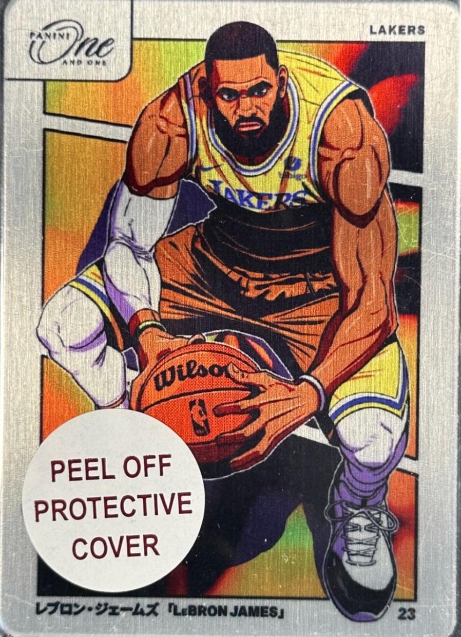 LeBron James #12