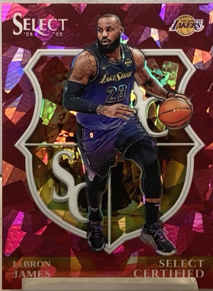 LeBron James [Pink Cracked Ice Prizm] #5