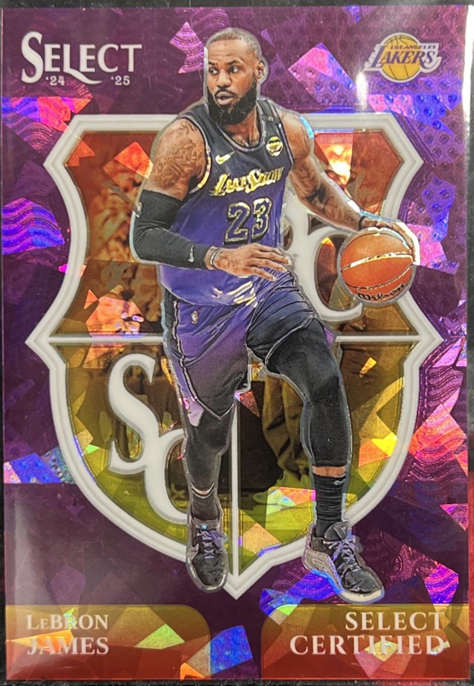 LeBron James [Purple Cracked Ice Prizm] #5