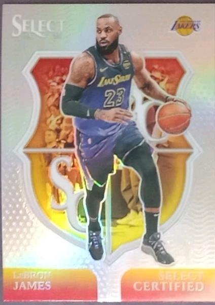 LeBron James [Silver Prizm] #5