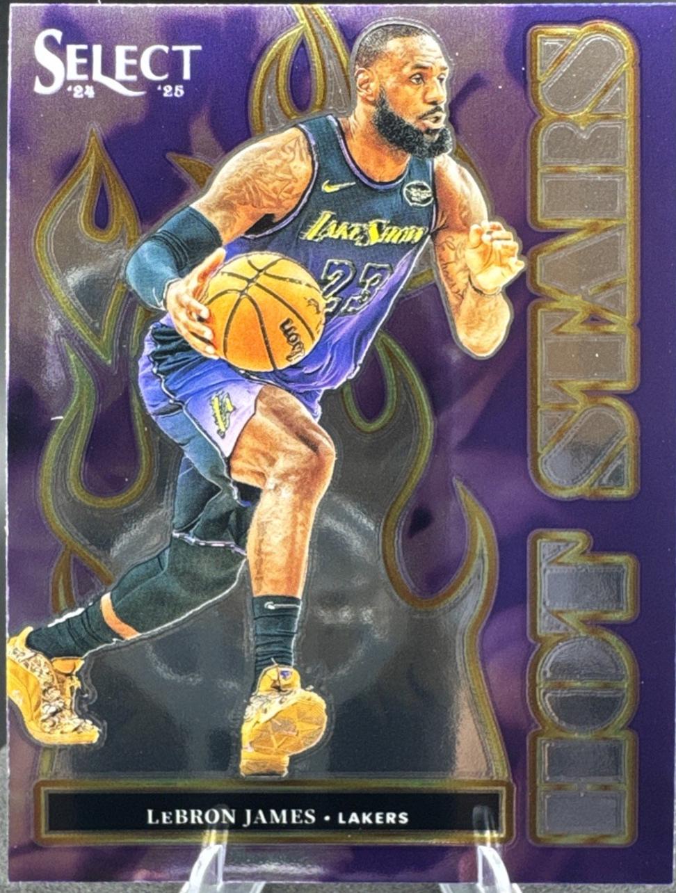 LeBron James #8