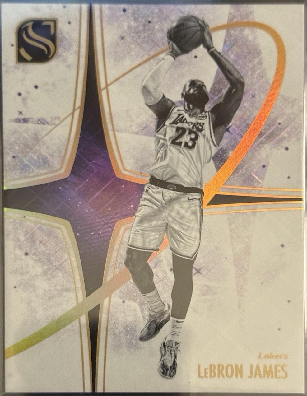 LeBron James #15