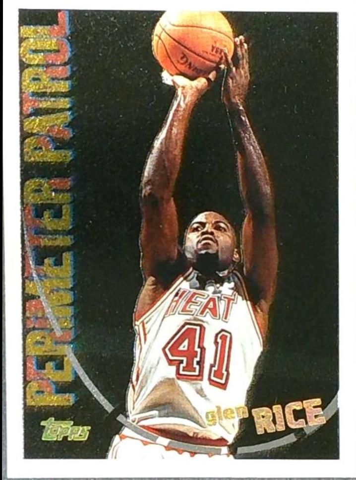 Glen Rice #207