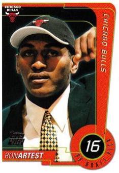 Ron Artest #113