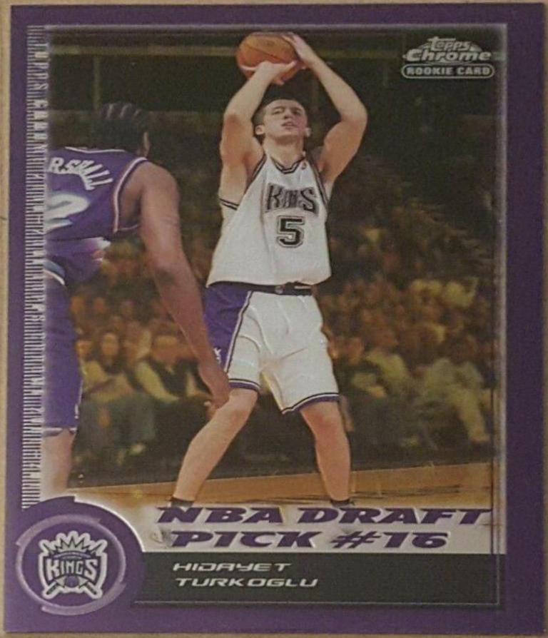 Hidayet Turkoglu #176