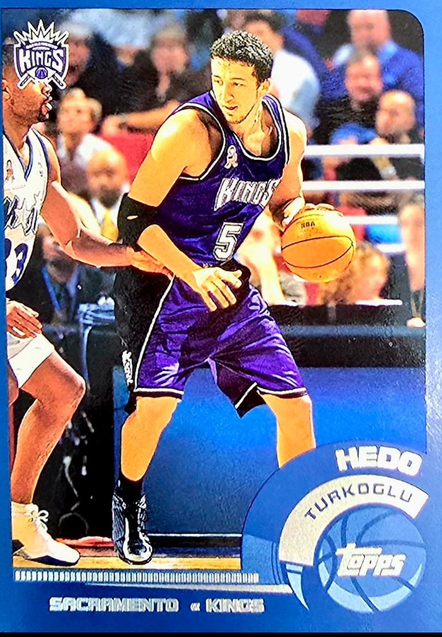 Hedo Turkoglu #120