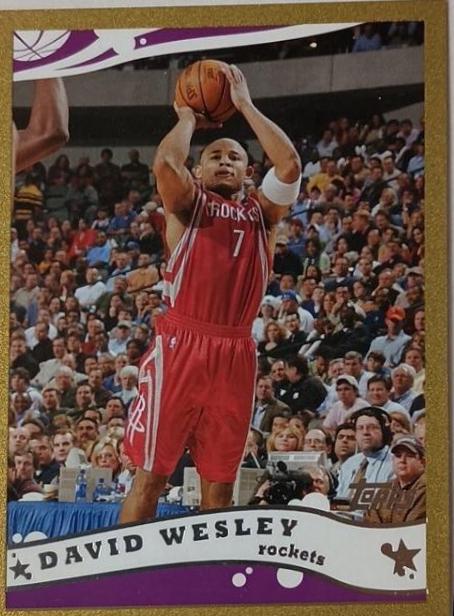 David Wesley [Gold] #92