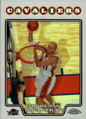 Zydrunas Ilgauskas #61