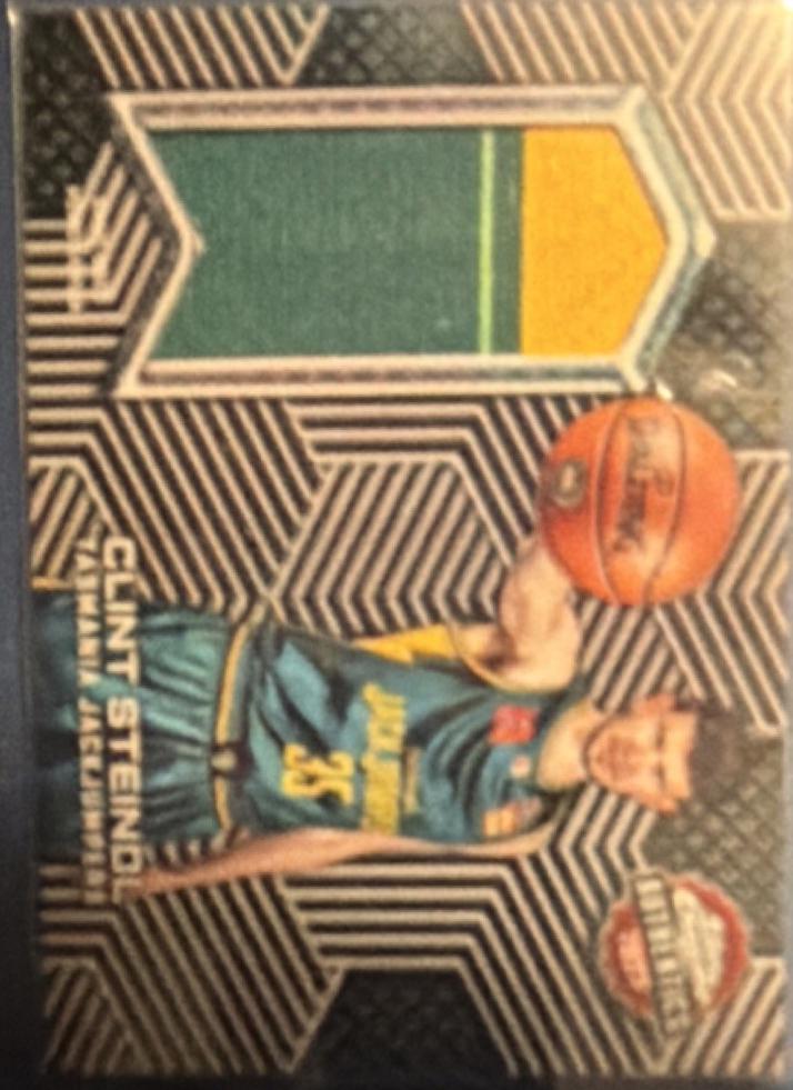 Clint Steindl #TCA-CS