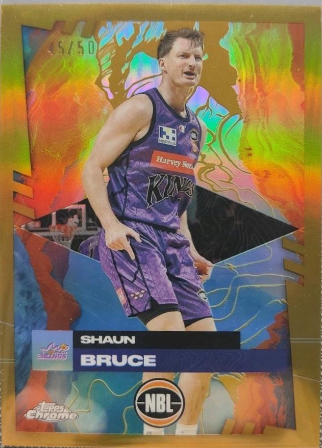 Shaun Bruce [Gold Refractor] #85