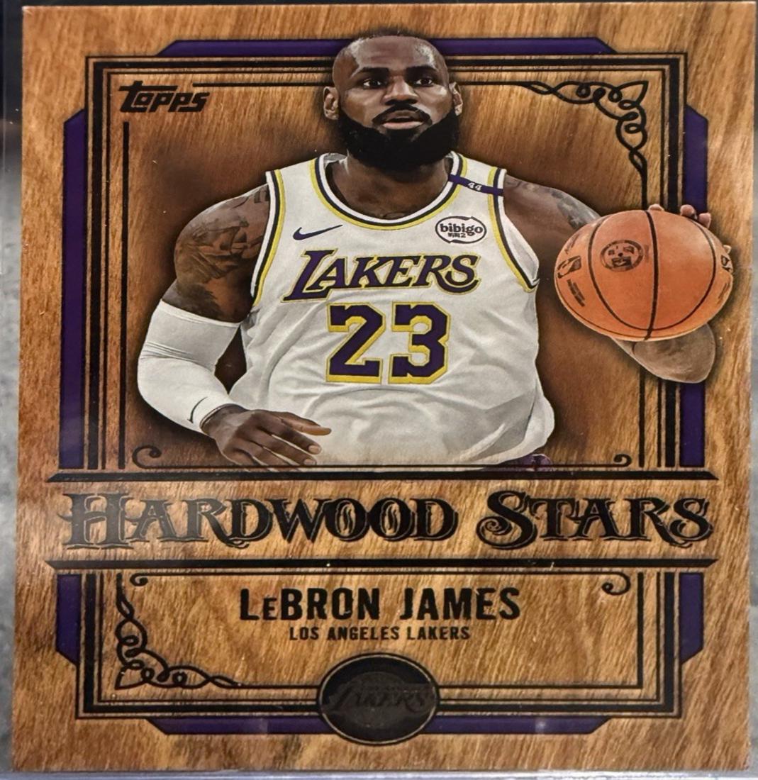LeBron James #HS-2