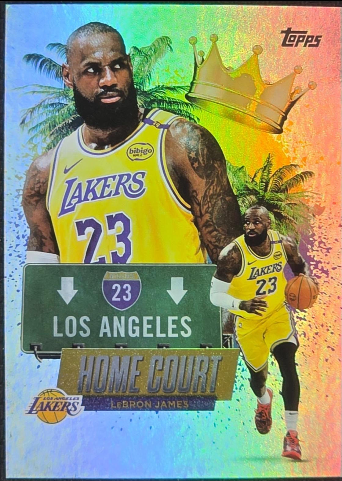 LeBron James #HCA-1
