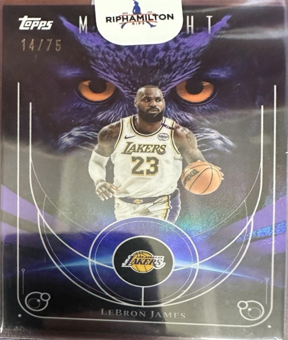 LeBron James [Dusk] #NO-1