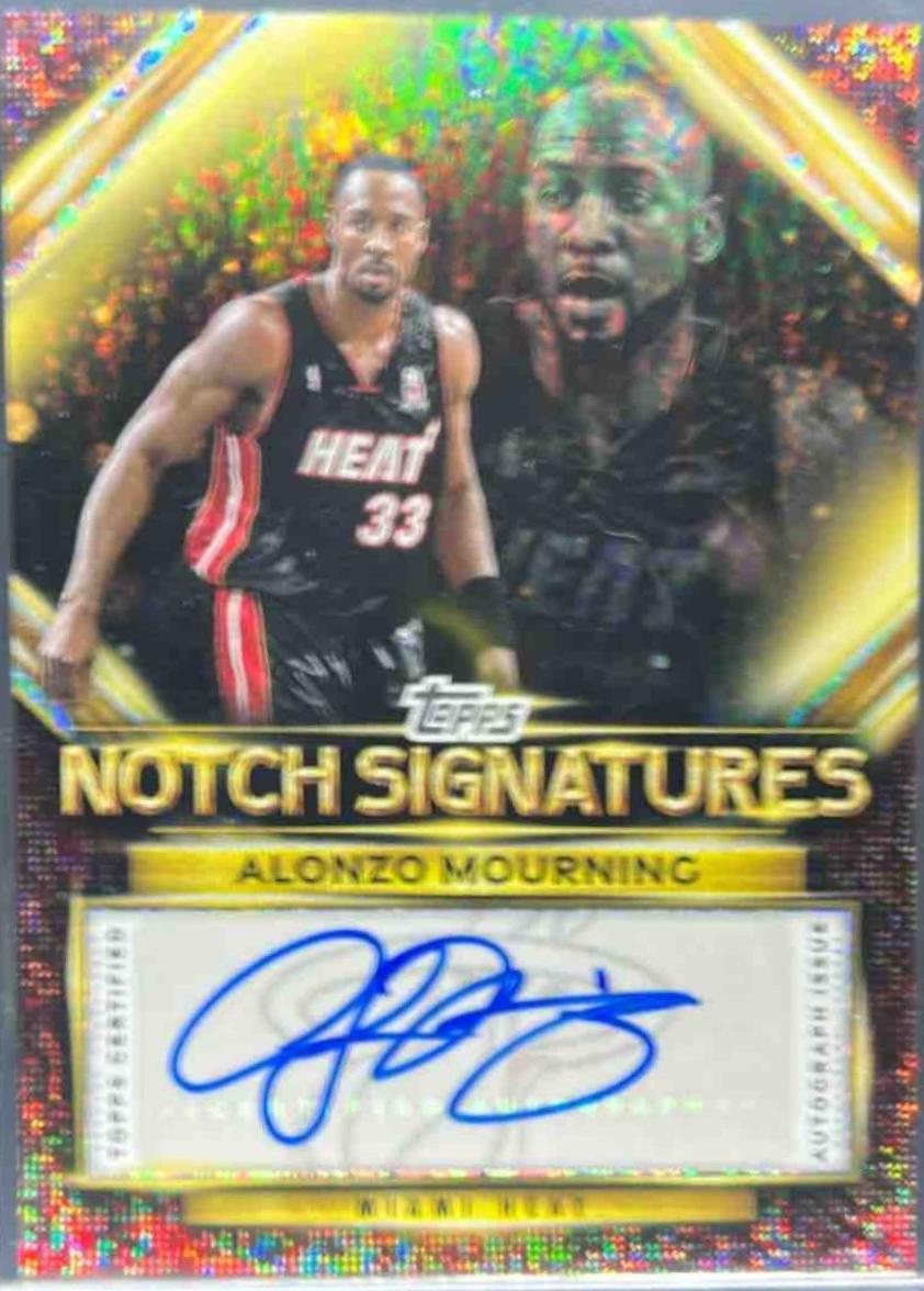 Alonzo Mourning [Holo Foil] #TNS-AM