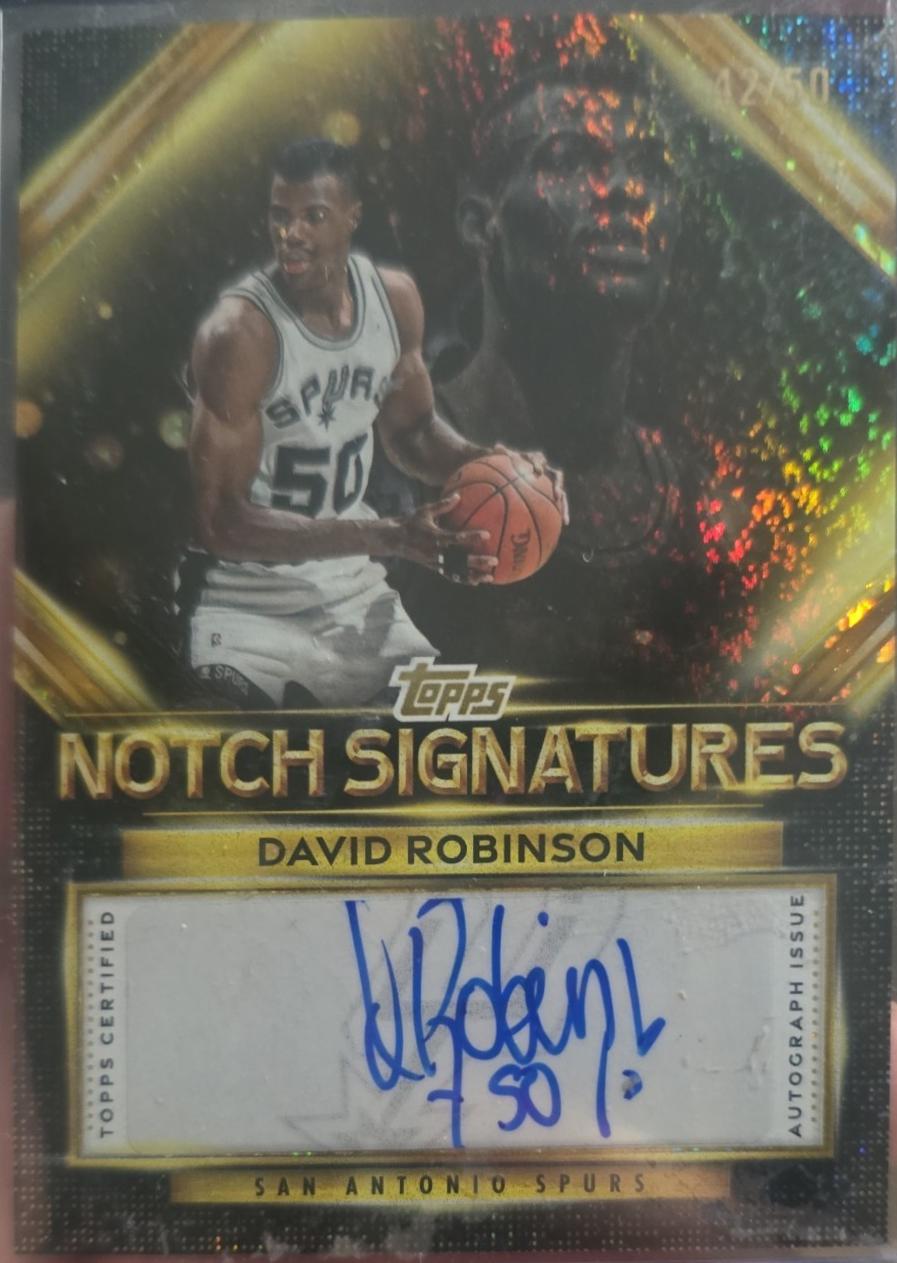 David Robinson [Holo Gold Foil] #TNS-DR