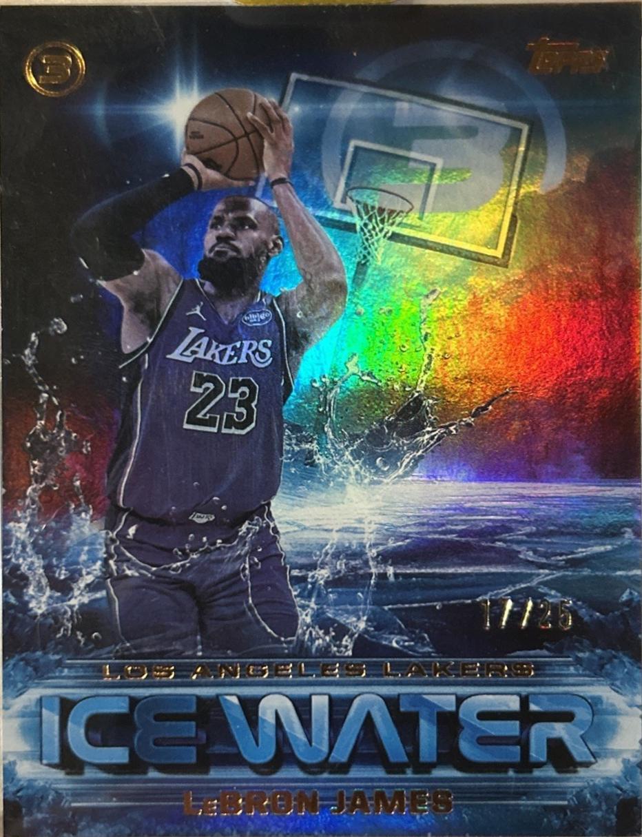 LeBron James [Bronze] #IW-23