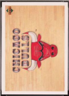 Chicago Bulls [Spanish] #134