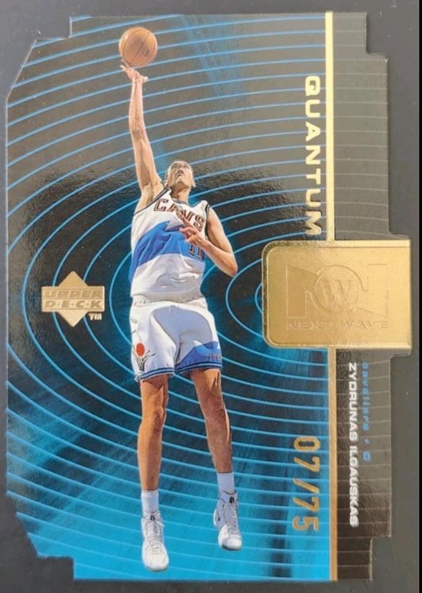 Zydrunas Ilgauskas [Quantum Gold] #NW8