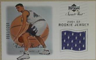 Andrei Kirilenko #108