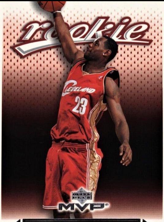 LeBron James #201