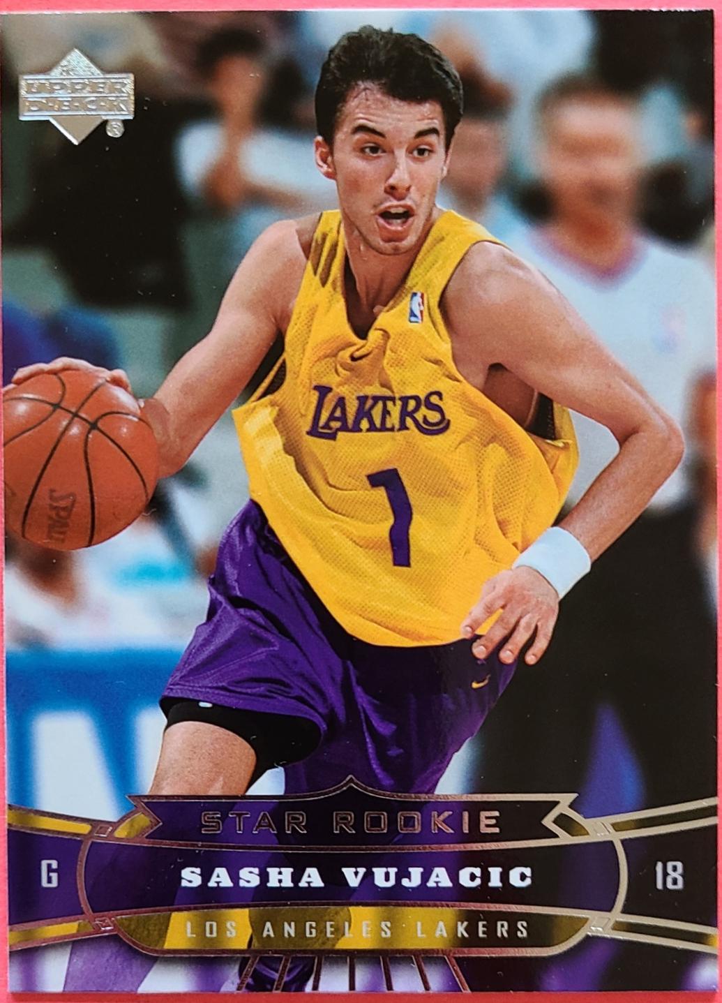 Sasha Vujacic #217