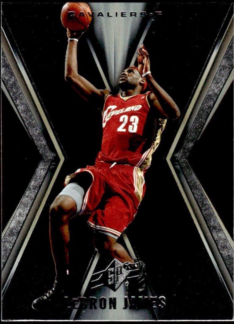 LeBron James #15